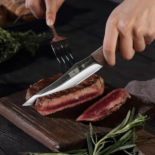 HOSHANHO Steak Knives Set of 6, Sharp 4.5" Non Serrated Steak Knife Set