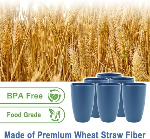 20 OZ Large Drinking Cups, Unbreakable Plastic Tumblers - Blue