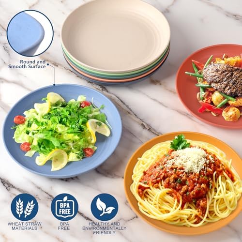 HOTEC 8-Pack 9inch Deep Dinner Plastic Plates, Multicolor