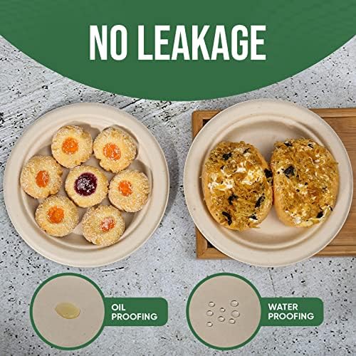 TaidMiao 6 inch Paper Plate 100 Pack Small Disposable, 100% Compostable
