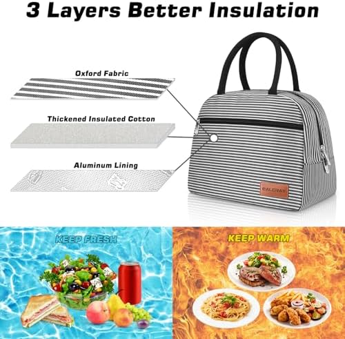 BALORAY Lunch Bag for Women Men Adult Lunch Box (Zipper Stripes), M