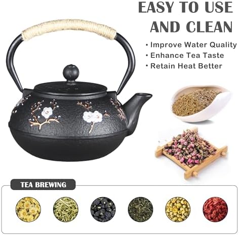 Cast Iron Teapot SECHUDO Teapot for Stovetop Safe Coated with Enameled Interior,Japanese Beautiful Tea Kettle with Stainless Steel Infuser for Loose Tea (30.4oz Plum Blossoms and Bird Pattern)