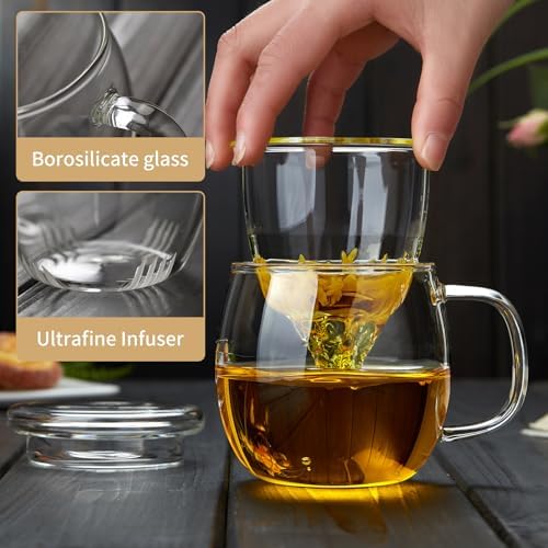 DOPUDO Glass Tea Cup with Infuser and Lid, 17oz/500ml Large Borosilicate Teacup for Loose Leaf Tea, Blooming Tea