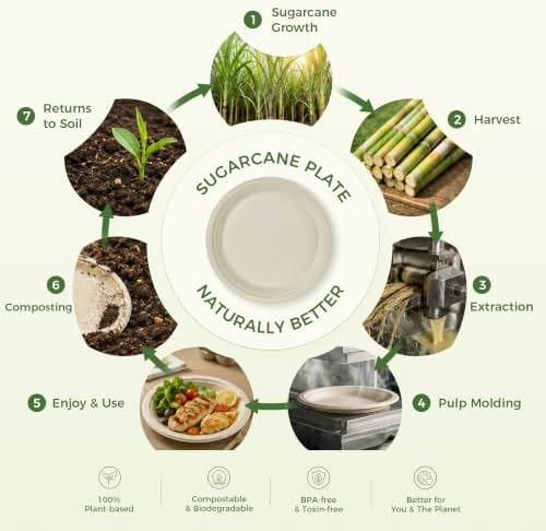 BESTVIP 10 Inch Compostable Sugarcane Paper Plates, Nature,300 Pack