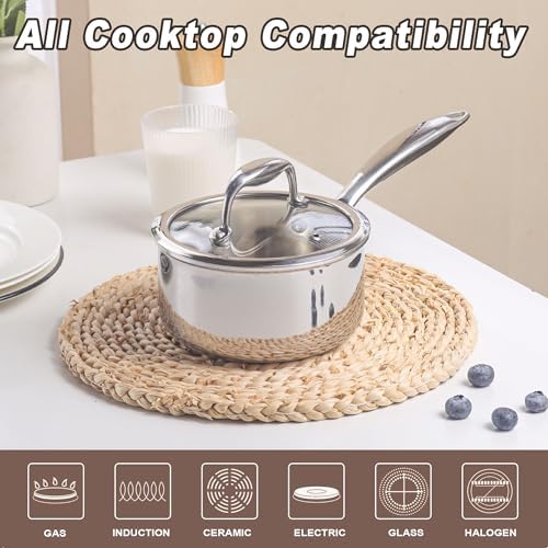 1-Quart Saucepan with Lid, Tri-Ply Stainless Steel Pot with Stay-Cool Handle & All Cooktop Compatibility (Gas, Ceramic, Electric) - Silver
