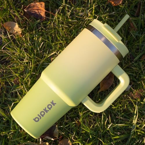 BJPKPK 40 oz Insulated Tumbler with Handle & Straw, Stainless Steel