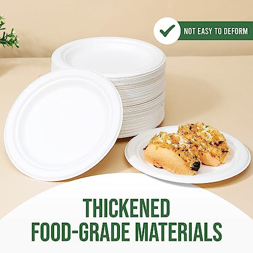 TaidMiao 7 Inch Paper Plate 100 Pack White Disposable,100% Compostable