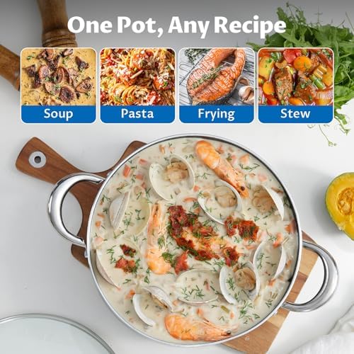 BEZIA 10 Quart Nonstick Stock Pot with Lid, Large Induction Cooking Pot