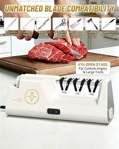 Professional Electric Knife Sharpener with Extendable Sharpening Rod
