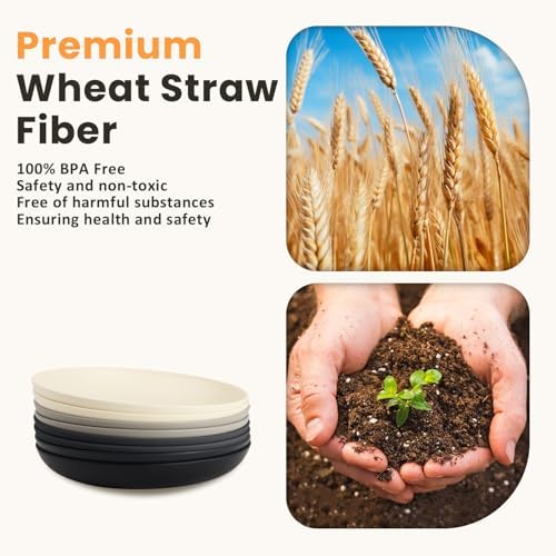 Homienly Premium Wheat Straw Dinner Plates, Reusable 8 PCS Unbreakable Plates 10 inch Plate Set, Alternative Plastic Plate Microwave and Dishwasher Safe Plates Set for Home - GreyStone