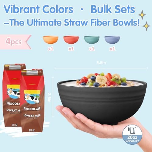 Quatish 4 PCS Cereal Bowls, Plastic Bowls, Small Snack Soup Kitchen Bowl