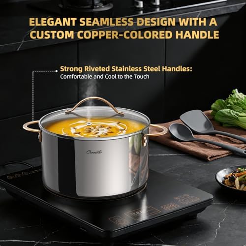 Ciwete 8 Quart Stock Pot with Lid, Upgraded Tri-Ply Stainless Steel Pot, Seamless Soup Pot with Stay-Cool Brass Handle, Healthy Polished Stockpots, Induction Cookware, Oven and Dishwasher Safe