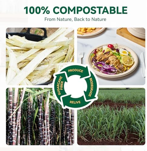 JOLLY CHEF 100% Compostable Paper Plates, 150 Pack 9 Inch Heavy Duty Plates, Disposable Biodegradable Eco-Friendly Sugarcane, Bulk Nature