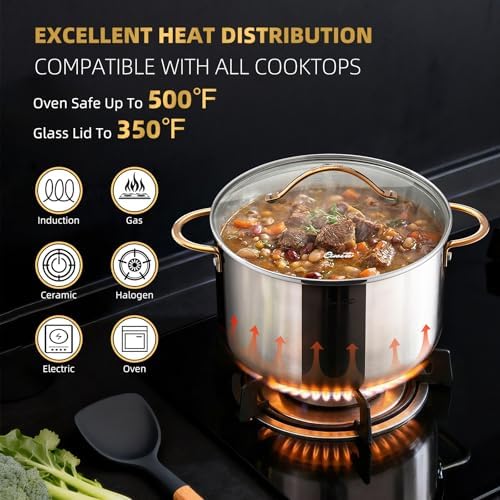 Ciwete 8 Quart Stock Pot with Lid, Upgraded Tri-Ply Stainless Steel Pot, Seamless Soup Pot with Stay-Cool Brass Handle, Healthy Polished Stockpots, Induction Cookware, Oven and Dishwasher Safe