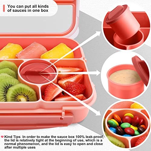 Amathley Bento Box Adult Lunch Box Kids,Lunch Containers for Adults/Kids/Toddler,5 Compartments Bento Lunch Box with Sauce Vontainers,Microwave & Dishwasher & Freezer Safe,BPA-Free (Pink)