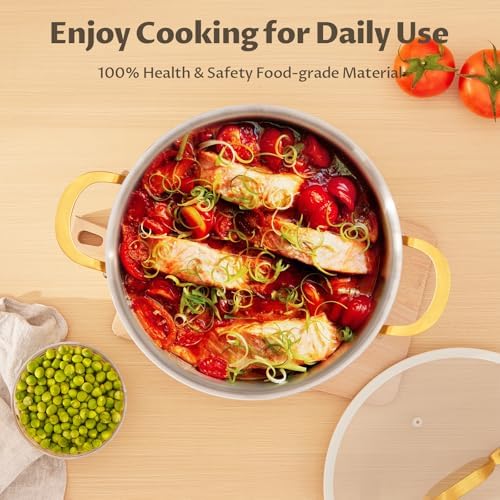 BEZIA 8 Quart Full Clad Try-Ply Stainless Steel Stock Pot, Induction Ready