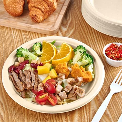 Vplus 150 Pack Compostable Bagasse Paper Plates 9 inch, Nature