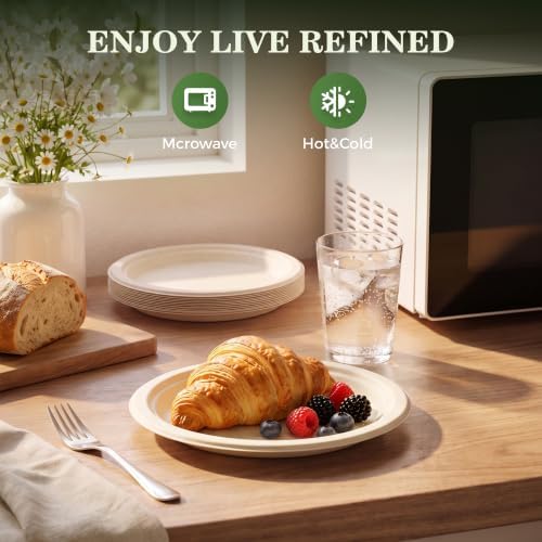 BESTVIP 6 Inch Compostable Sugarcane Paper Plates, Nature,300 Pack