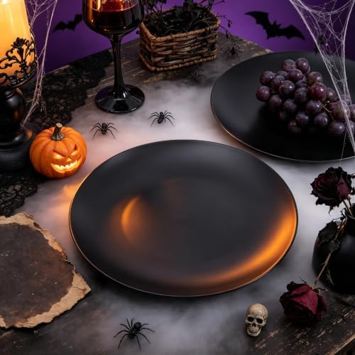 ejonirinjonir 80pcs 10.25in Heavy-Duty Black Plastic Plates for Dinner