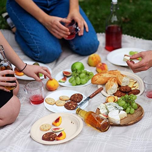 Vplus 150 Pack Compostable Bagasse Paper Plates 9 inch, Nature