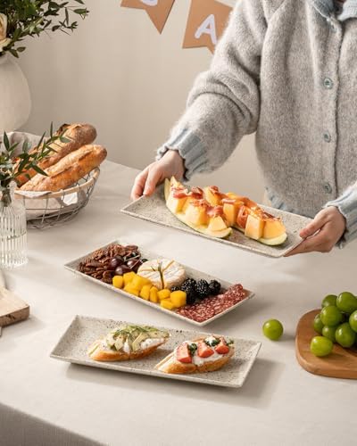 LAUCHUH 3 Tier Serving Tray, Porcelain Serving Platters and Trays for Party