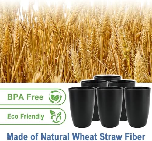 20 OZ Wheat Straw Cups SetS of 6, Unbreakable Drinking Cup (Black)