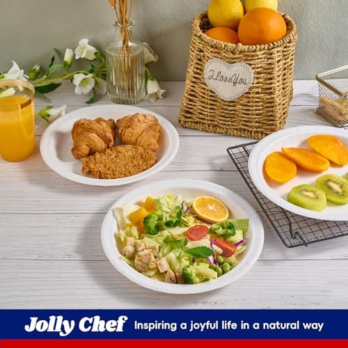 JOLLY CHEF Paper Plates 500 Count 10 inch Disposable