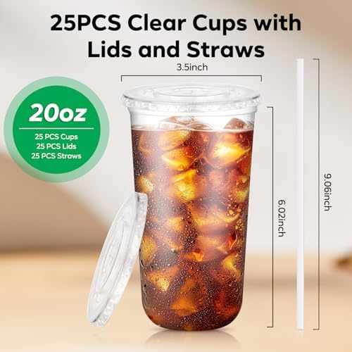 25 Pack 20 oz Round Bottom Plastic Cups with Lids and Straws, Clear Cups