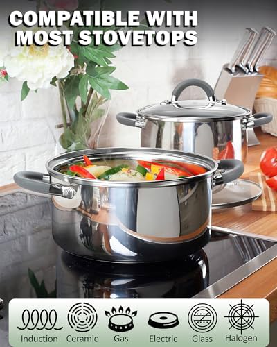 Cook N Home Basics 12 Quart Stainless Steel Stock Pot with Lid, Cooking Pot for Pasta, Soup, Stay-Cool Silicone Handle, Stockpot with Even Heating, Oven Safe, Cookware for Canning, Boiling, Simmer