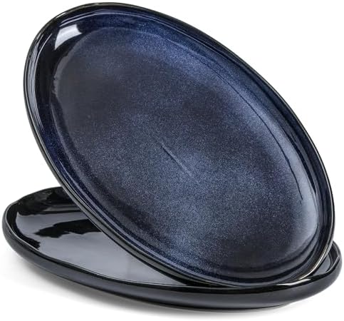 vicrays Serving Platter Ceramic Tray Plates Extra Large Oval 14.5 Inch Porcelain Dinner Plates Long Serving Dish Set Entertaining Party Restaurant Food Meat Sushi Fish Turkey Platter