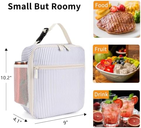Lunch Box for Women Men Adult Insulated Lunch Bag Women Men Small Reusable Lunchbox for Work Picnic Travel (Purple Stripes)