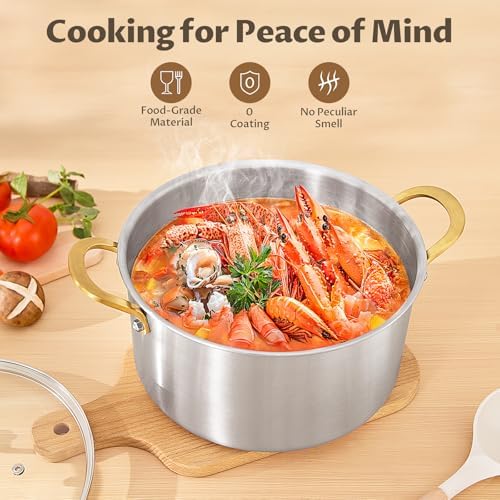 BEZIA 10 QT Stock Pot with Lid, Full Clad Tri-Ply Stainless Steel Soup Pot