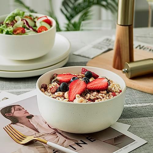 S&Q'S CERAMICS S&Q Ceramic Bowls for Kitchen, 36 Ounce, Large Capacity Cereal Bowls Set of 4, For Soup, Oatmeal, Breakfast, Microwave and Dishwasher Safe, Glazed Matte Off White…