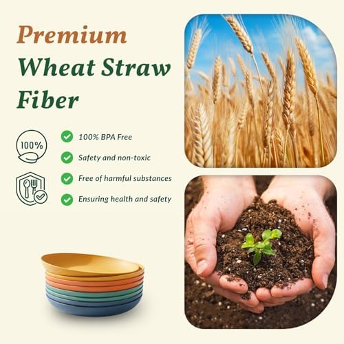 Homienly Deep Dessert Plates Unbreakable Wheat Straw Dinner Plates 8 PCS Microwave & Dishwasher Safe Plates Sets for Kitchen, Camping, Reusable Plastic Plates for Kids, Appetizer (Colorful, 8 inch)