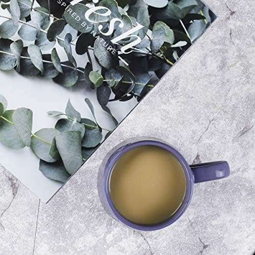 Bosmarlin Glossy Ceramic Coffee Mugs Set of 2, Tea Cup for Office and Home, 18 oz, Suitable for Dishwasher and Microwave(Purple, 2)