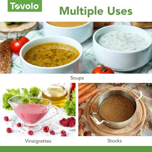 Tovolo Spring Whisk Stainless Steel 10 Inch Galaxy Coil Whisker for Cooking Blending Mixing Stirring Whipping Whisking and Beating, Easy to Clean Dishwasher Safe Frother Stirrer Blender Coil Whisk