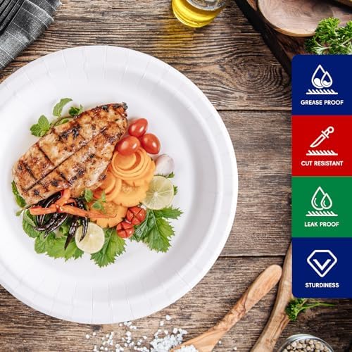 JOLLY CHEF Paper Plates 500 Count 10 inch Disposable