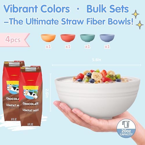 Quatish 4 PCS Cereal Bowls, Plastic Bowls, Small Snack Soup Kitchen Bowl