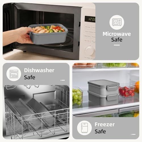 Bento Box adults Lunch Box Containers for Men with Lunch Bags Leak Proof