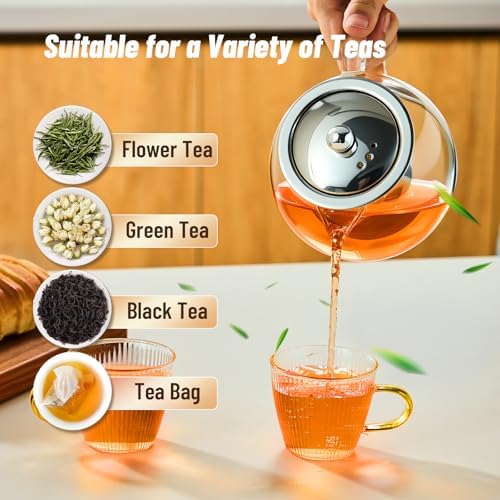 Baalaka Glass Teapot with Infuser, Clear Tea Pot for Stove, 22 oz/650 ml