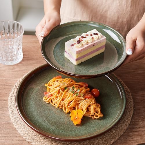 Pokini Stoneware Dinnerware Sets for 4, 16pcs Plates and Bowls Sets Dishes