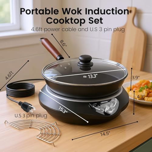 1700W Induction Wok Burner 120V, Includes 13.4-Inch Carbon Steel Wok