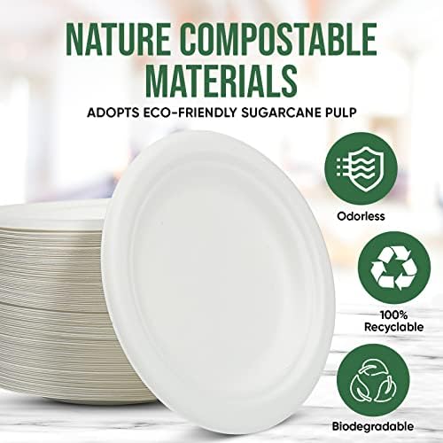 TaidMiao 6 inch Paper Plate 100 Pack Small Disposable, 100% Compostable