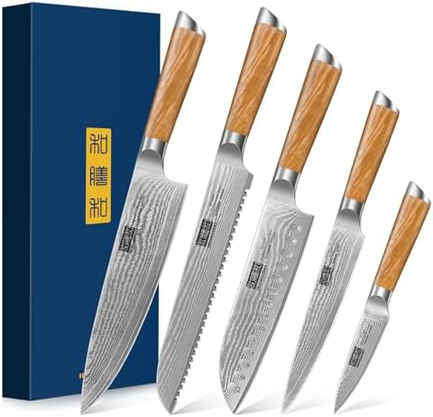 HOSHANHO Damascus Kitchen Knife Set 5PCS, Sharp Chef Knives Ergonomic Grip