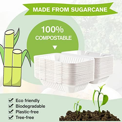 ECOLipak 75 Pack Compostable Clamshell Take Out Food Containers, 9x6 inch