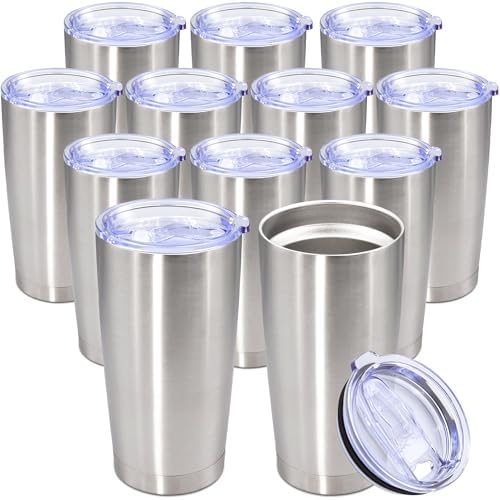 20oz Tumbler Stainless Steel Tumbler Coffee Tumbler with Lid SS, 12P