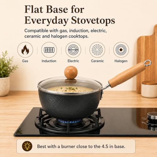 WANGYUANJI 1.6 Qt Small Iron Saucepan with Lid, 7.1-Inch Ramen Cooking Pot