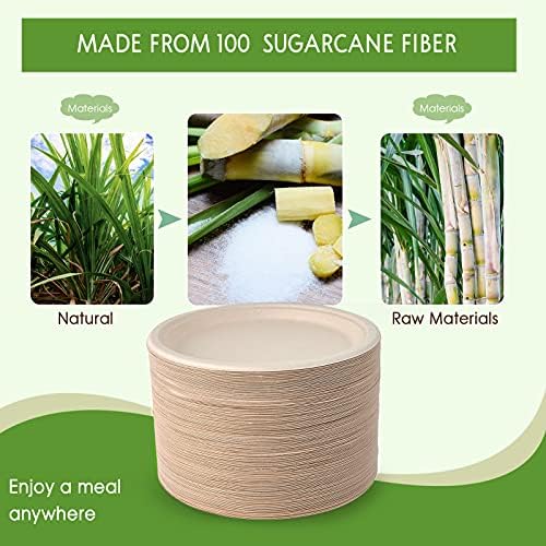 Vplus 150 Pack Compostable Bagasse Paper Plates 10.25 inch, Nature