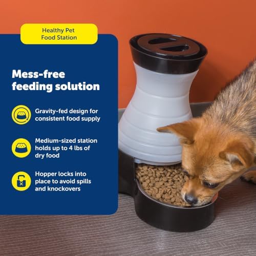 PetSafe Healthy Pet Food Station, 4 lb Gravity Feeder, Cats & Dogs, Medium