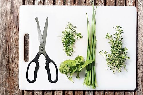 Korean BBQ Kalbi Meat Cutting Scissors Large All Purpose Stainless Steel Utility Kitchen Shears for Food